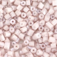 Seed beads Special buggles - ± 4 mm French rose diamond